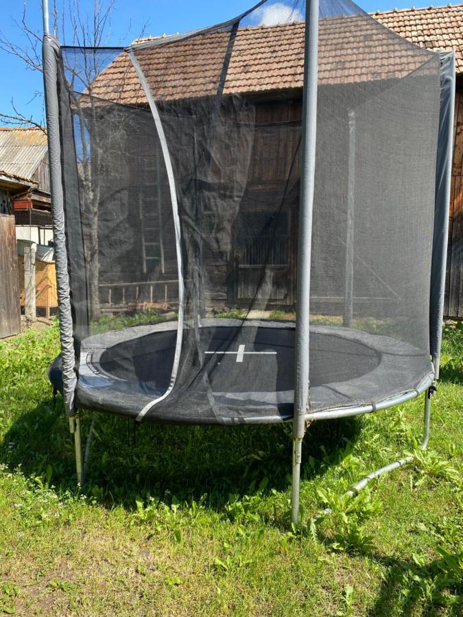 Mi Casa Su Casa * Lăzarea